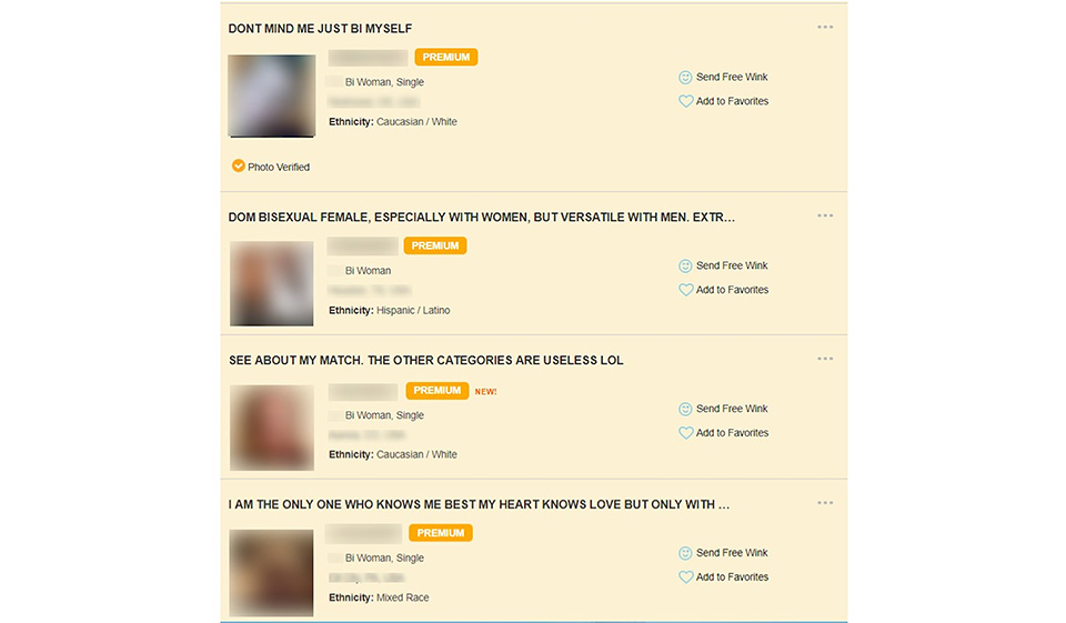 BiCupid Costs And Prices